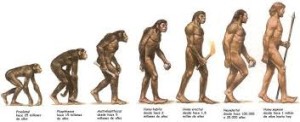 evolución del hombre 2